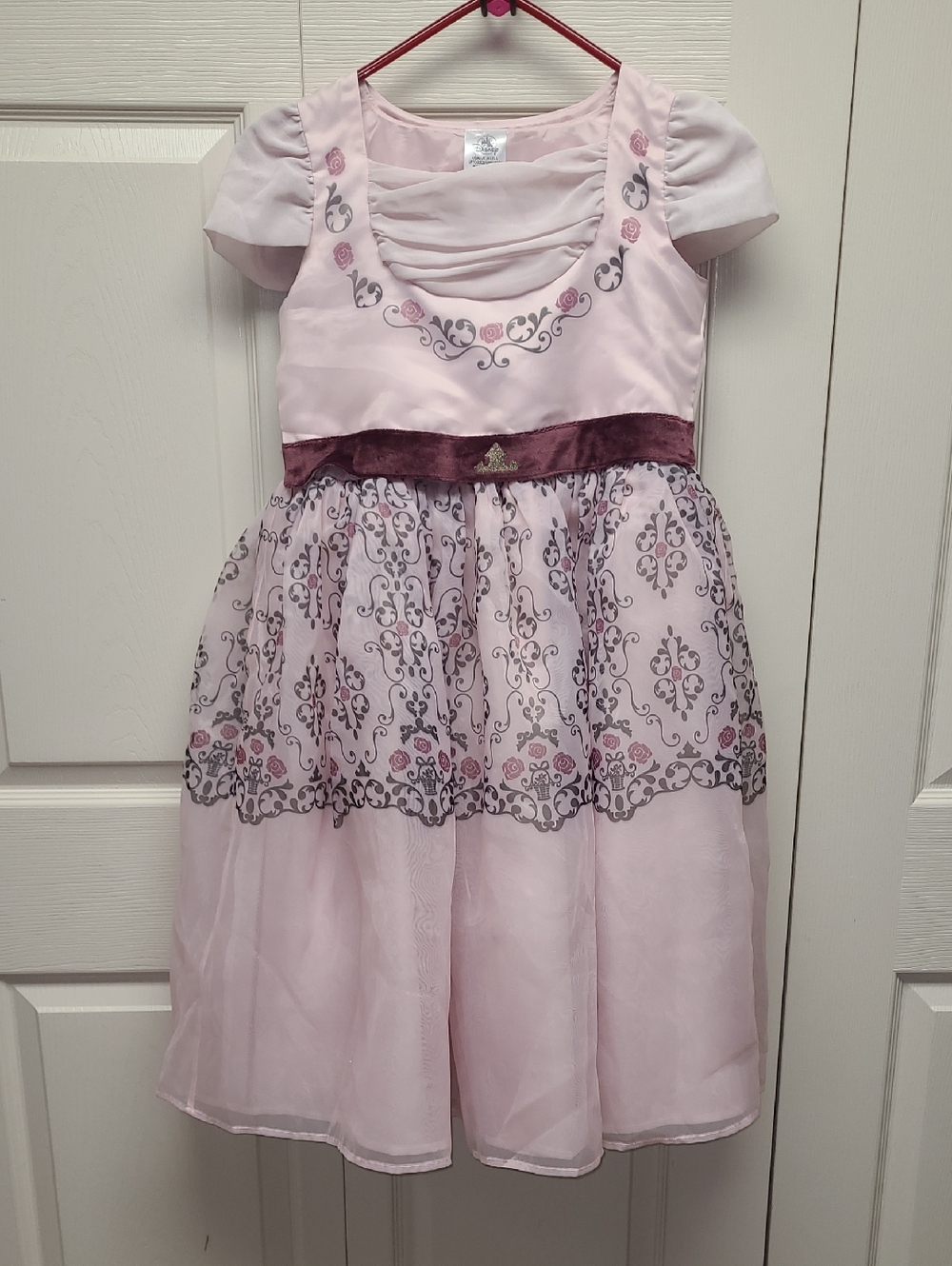Disney Adaptive Pink Sleeping Beauty Aurora Princess Girls Dress up Costume
